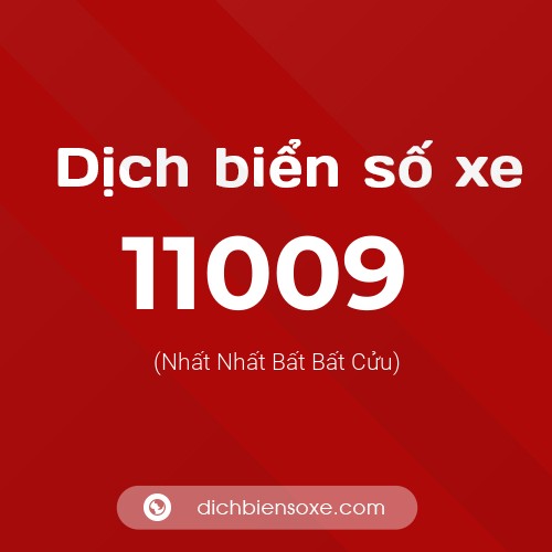 Ý nghĩa biển số xe 11009 là gì?