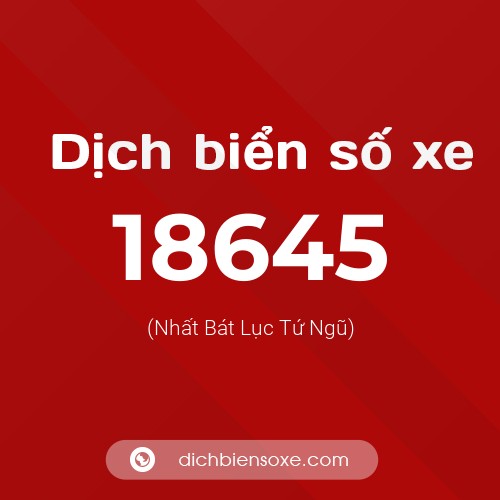 Ý nghĩa biển số xe 18645 là gì?
