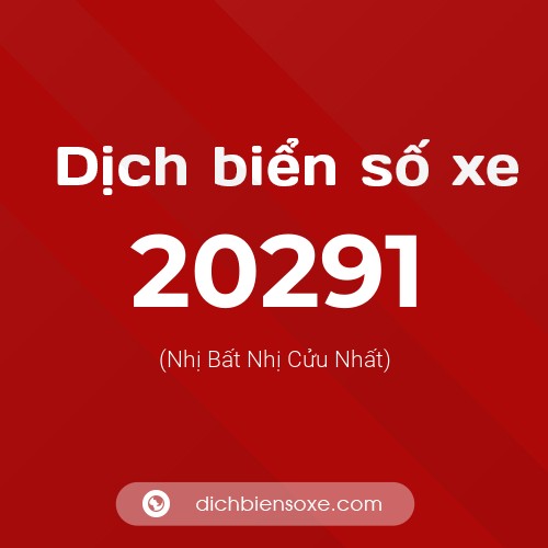 Ý nghĩa biển số xe 20291 là gì?