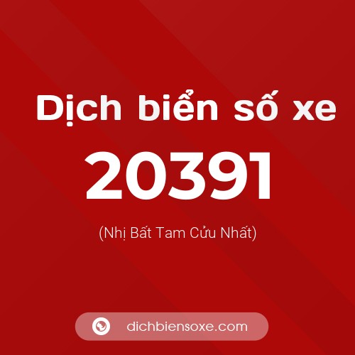 Ý nghĩa biển số xe 20391 là gì?