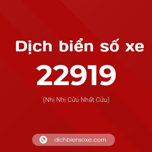 Ý nghĩa biển số xe 22919 là gì?
