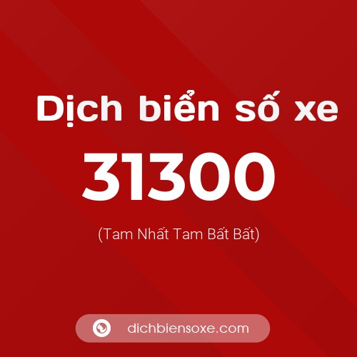 Ý nghĩa biển số xe 31300 là gì?