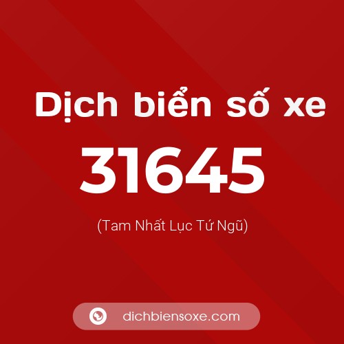 Ý nghĩa biển số xe 31645 là gì?