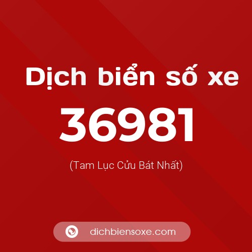 Ý nghĩa biển số xe 36981 là gì?