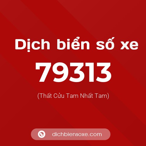 Ý nghĩa biển số xe 79313 là gì?