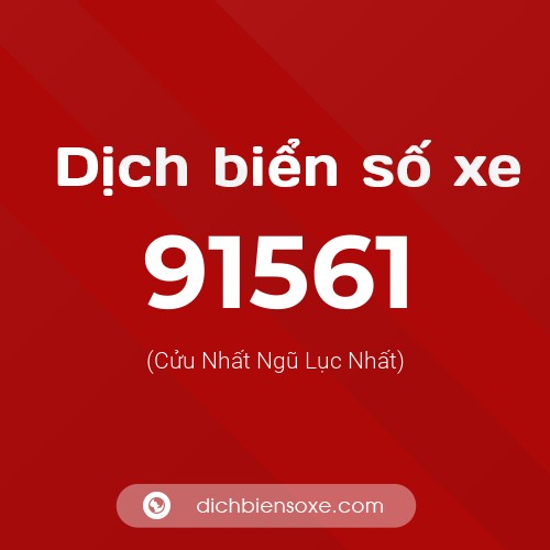 Ý nghĩa biển số xe 91561 là gì?
