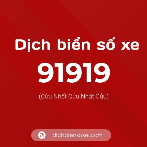 Ý nghĩa biển số xe 91919 là gì?