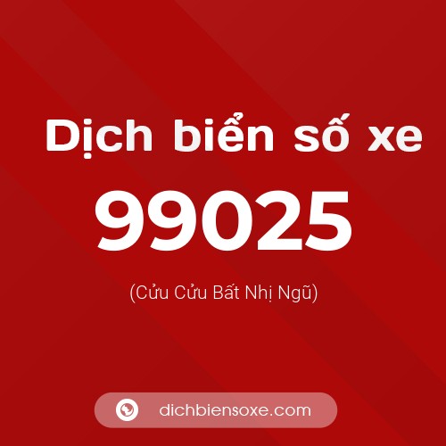 Ý nghĩa biển số xe 99025 là gì?