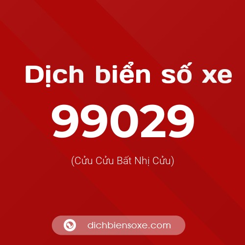 Ý nghĩa biển số xe 99029 là gì?
