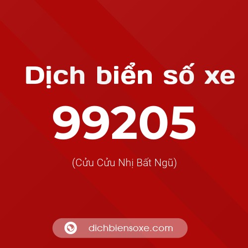 Ý nghĩa biển số xe 99205 là gì?